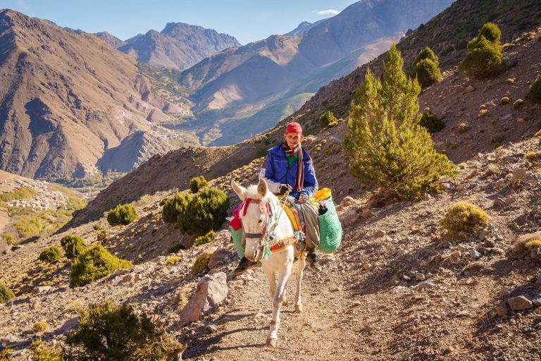 Women’s Partnership in Morocco